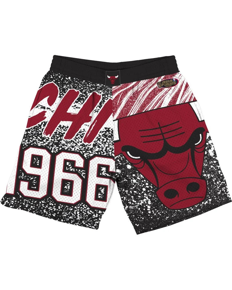 Mitchell and ness bulls shorts